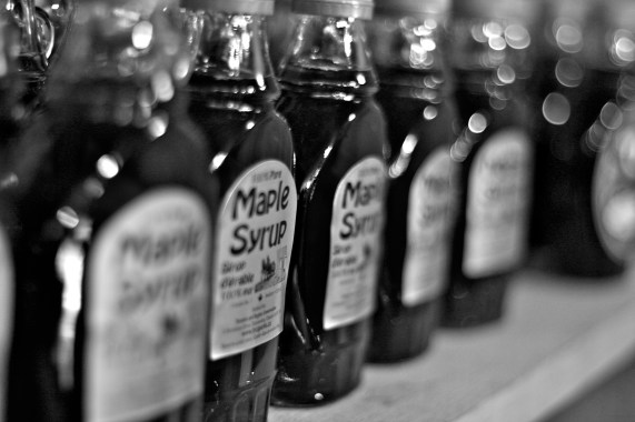 maple syrup